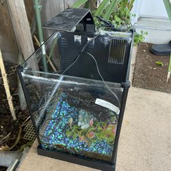 Fish Tank All In One Unit Fluval