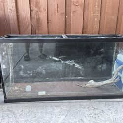 Fish Tank Aquarium 60g