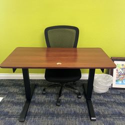 Stand Up Desk