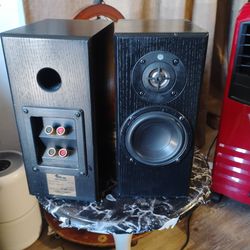 Dream catcher Main monitor