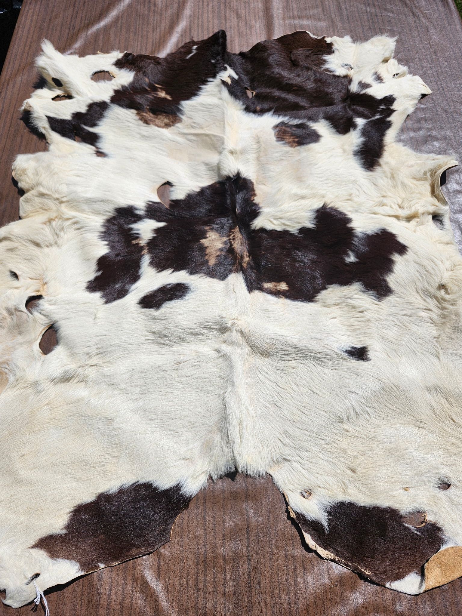 Animal Rugs (lama, Goat, cow)