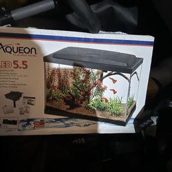5.5 Gallon Fish Tank 
