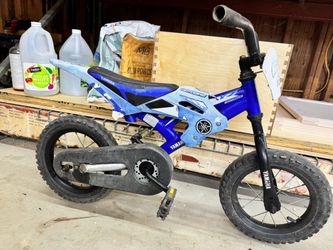 Kids 12in bike