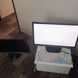 2 24 Inch Asus Monitors 