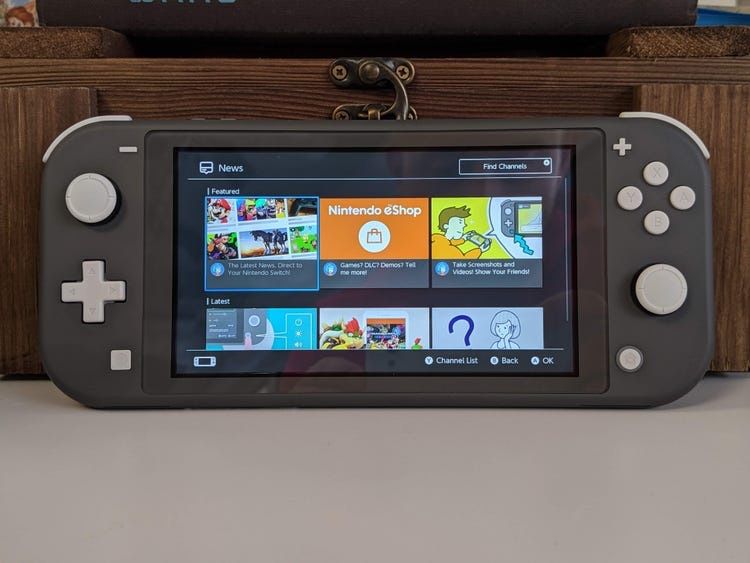 Nintendo Switch lite with case