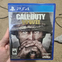 Call Of Duty WWII (Ps4)