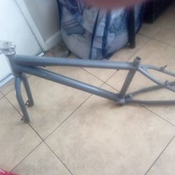 1990s Free Agent 24" Aluminum Frame And Forks