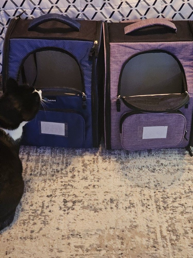 Kitty Backpacks