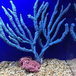 Artificial Coral