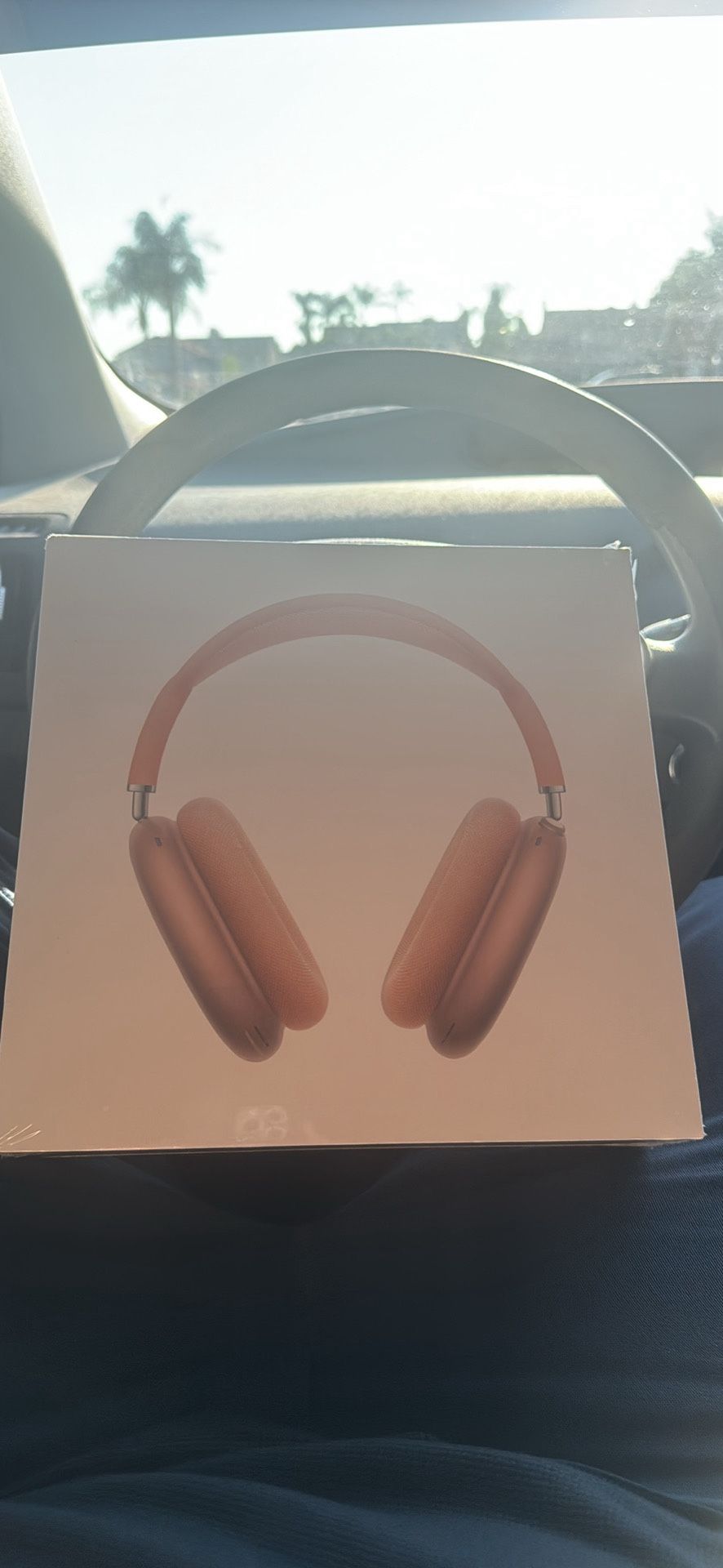 AirPod Pro Max’s