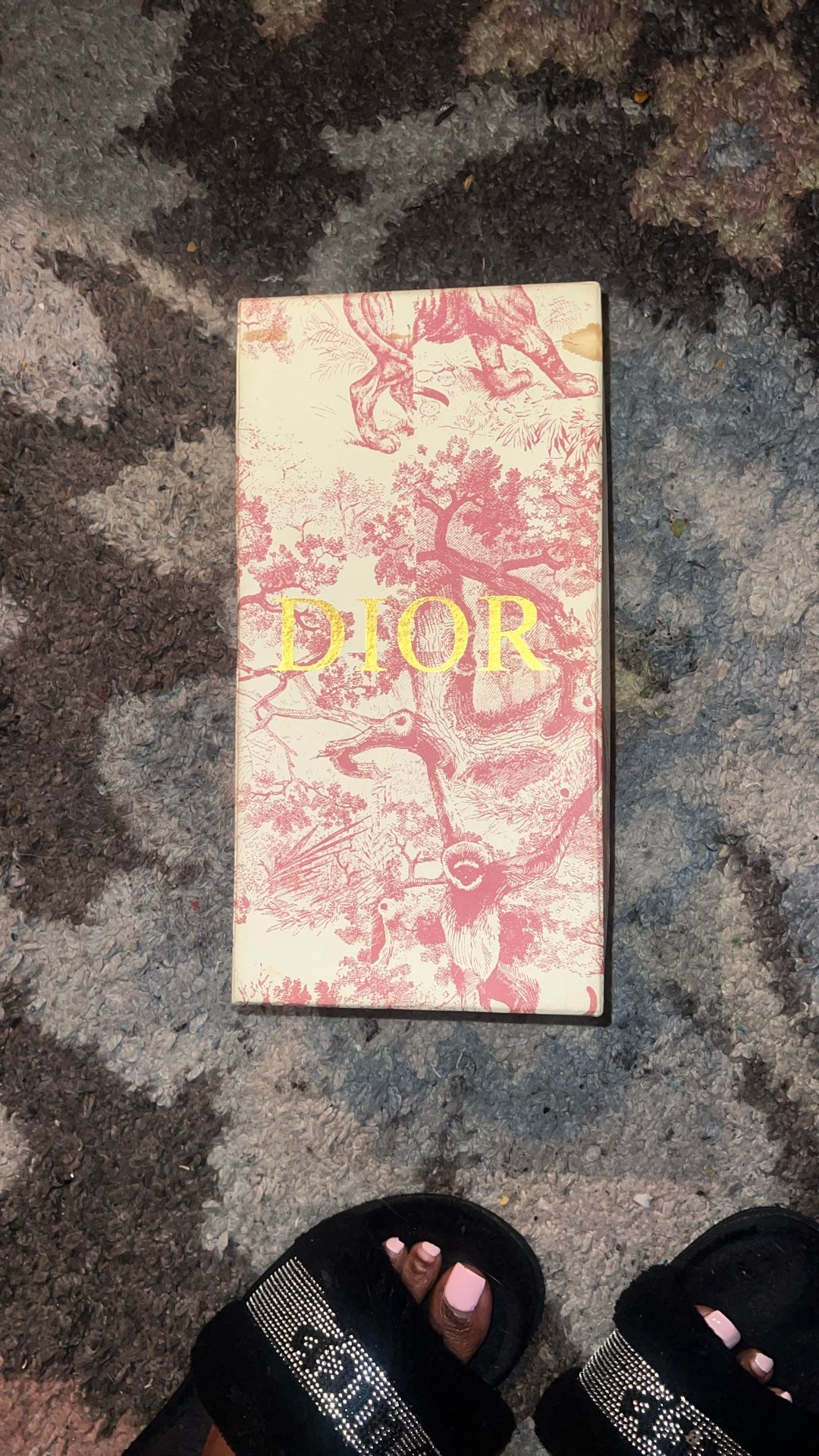 Dior Slides