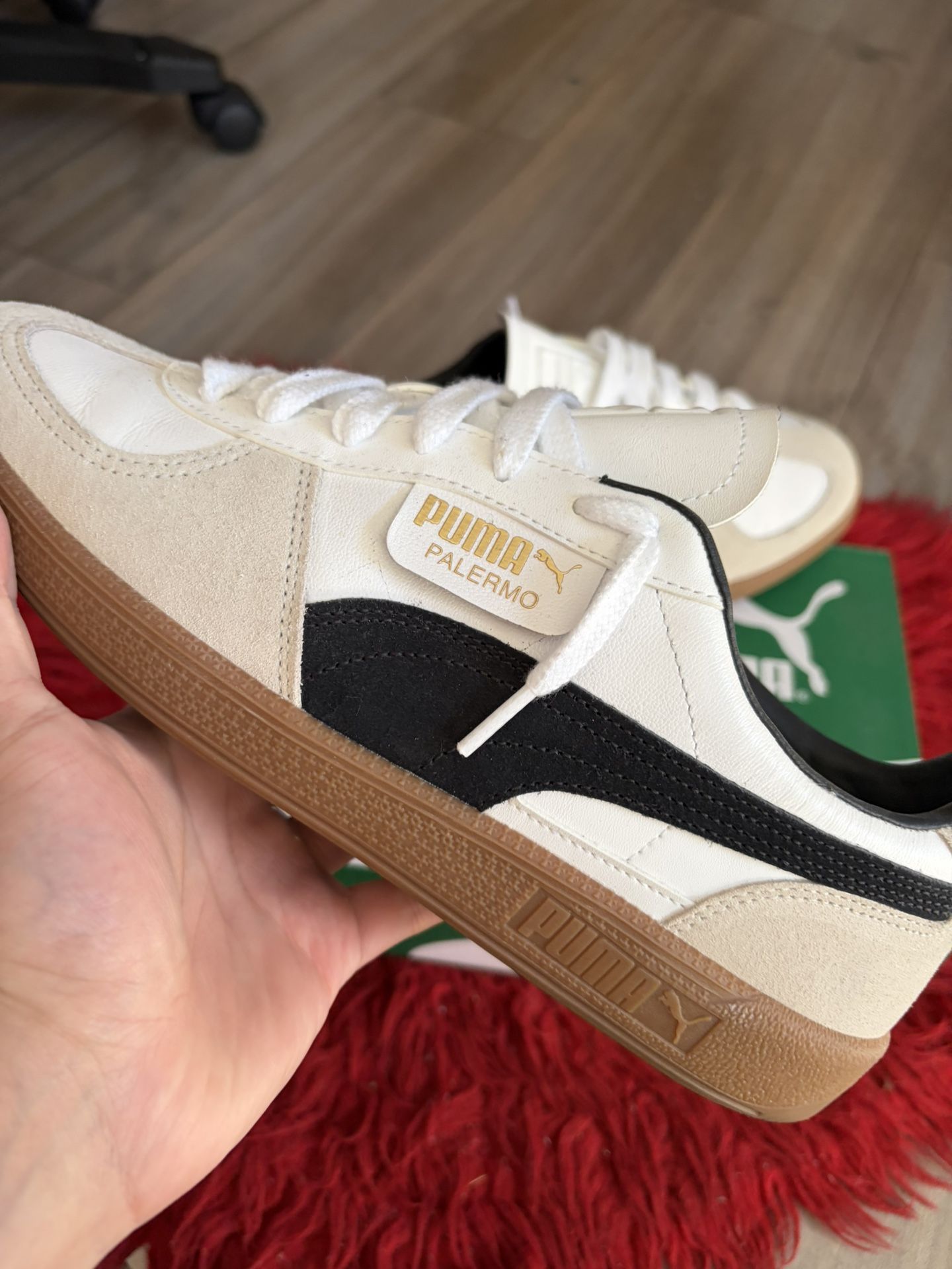 Puma Perlemo