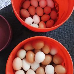 Fresh Eggs Washed And Unwashed