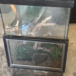 Terrarium From Elite Aquariums 