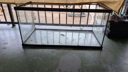 Reptile tank