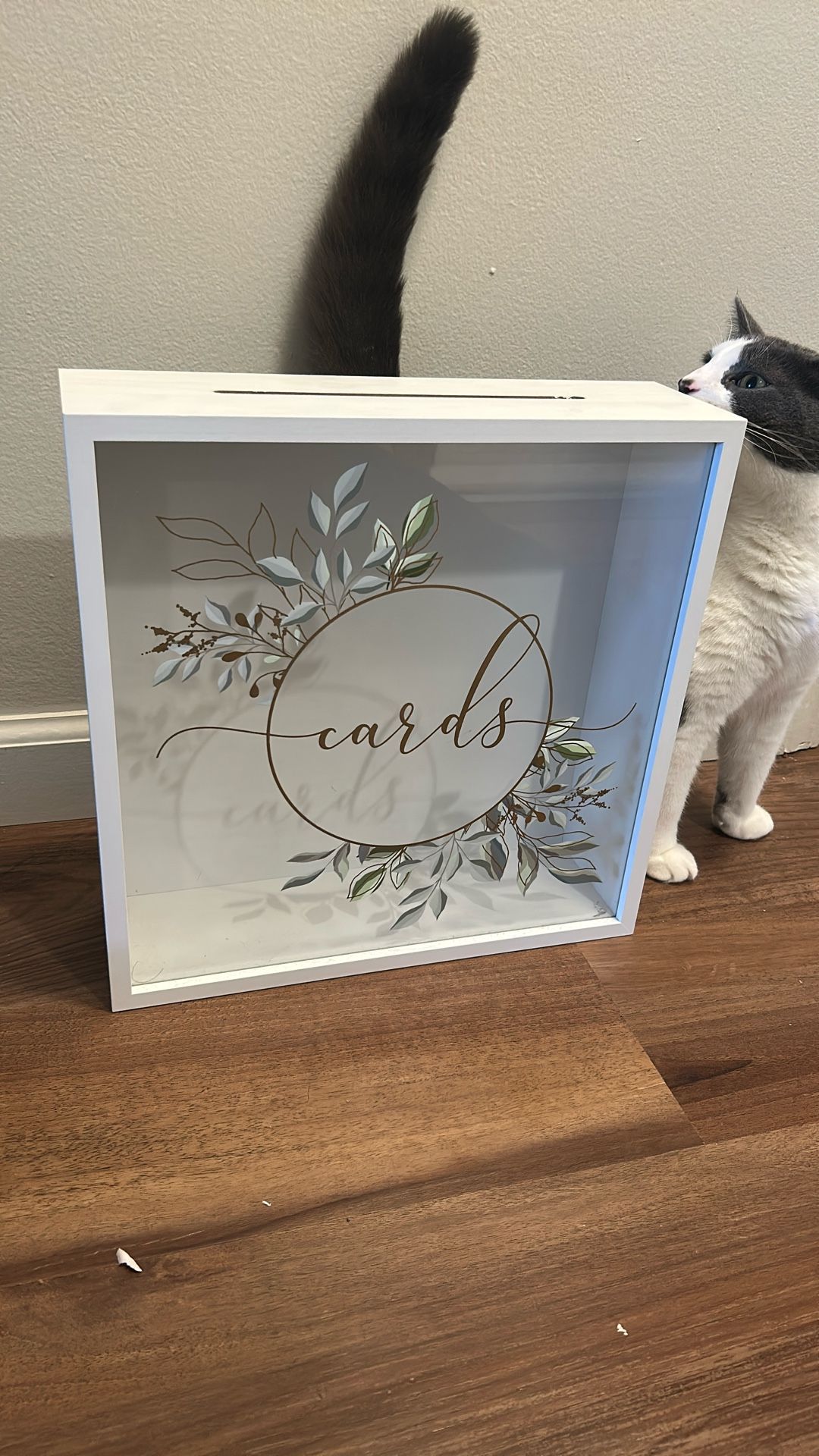 Card Box