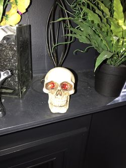 Skulls collection prices vary from $35-$78