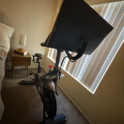 Great condition peloton bike 