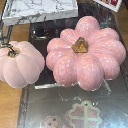 Nice beautiful decorative pumpkins