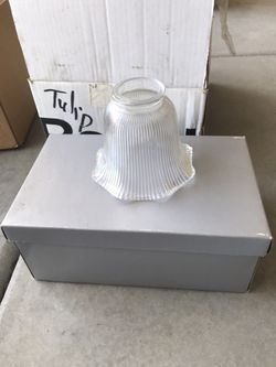 Tulip Glass for Ceiling Fan