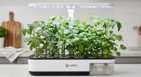 Indoor Hydro Seedling Starts