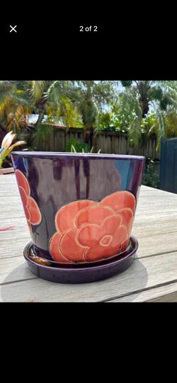 Indoor flower pot purple with large red flowers