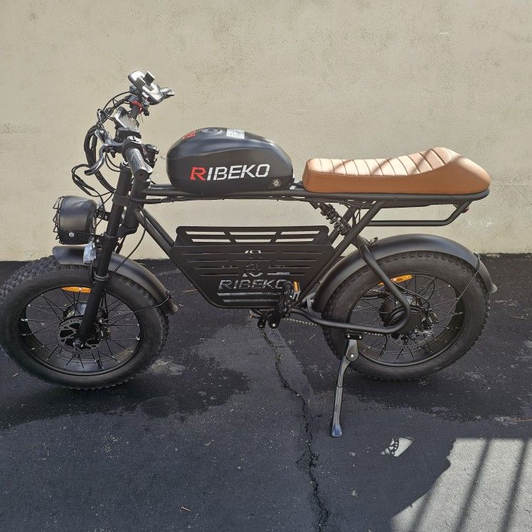Electric Cruiser Bike 1500W 35MPH
