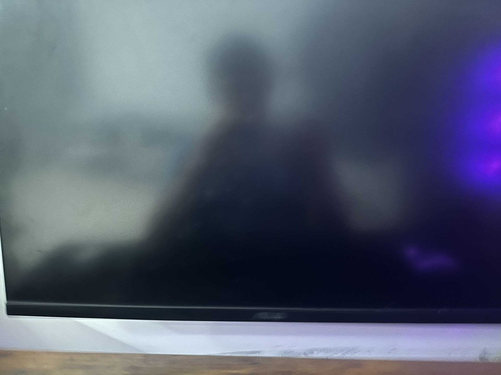 Asus Gaming Monitor (Read Desc)