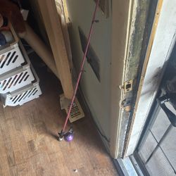 Pink Fishing Pole