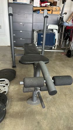 Adjustable Weight Bench with Leg Developer, dip and pull up bar and ab/leg machine.