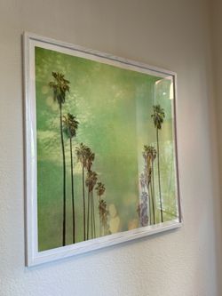 Framed Palm Tree Photography Print