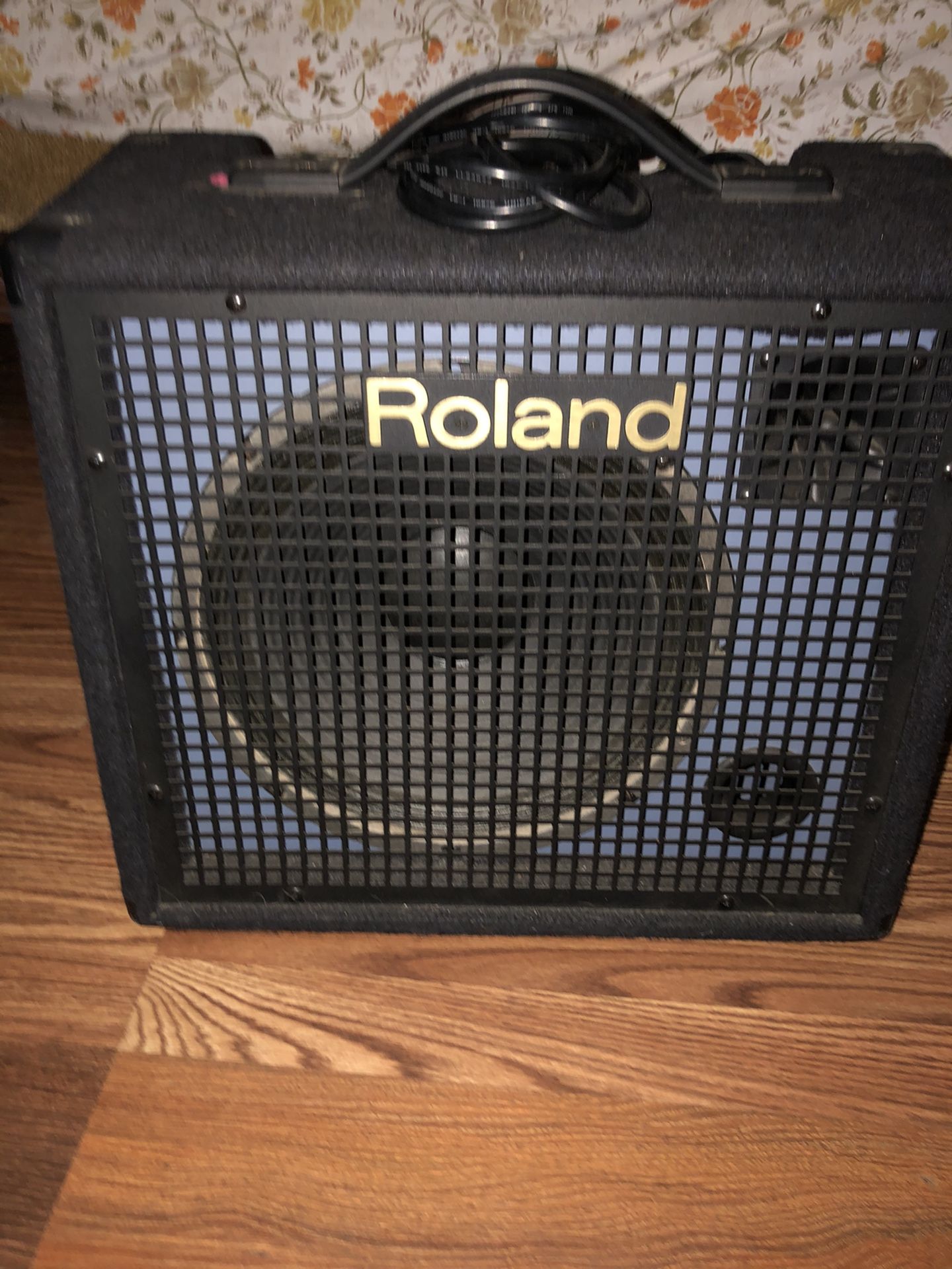 Roland amp k100