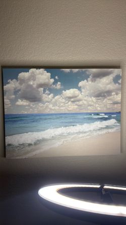Canvas Picture Size 24x32 $15