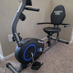 Pooboo W258 Exercise Bike