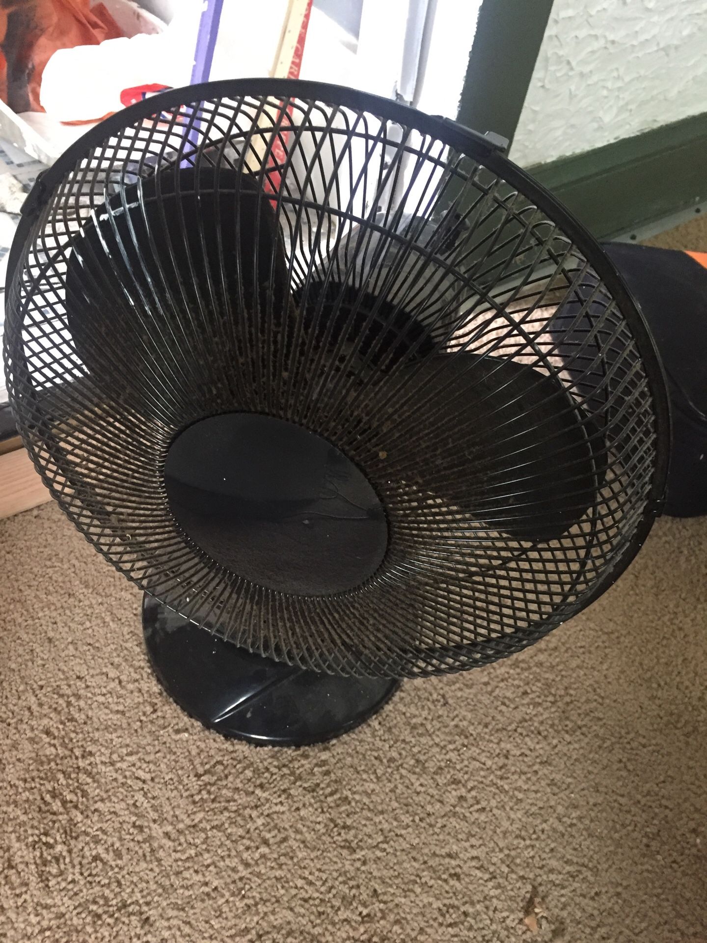 Fan