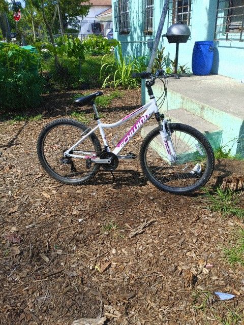Bike Schumacher 