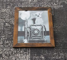 Framed Vintage Photo Print - Chihuahua Sitting on Vintage Camera Cute Photography Art (8x10)