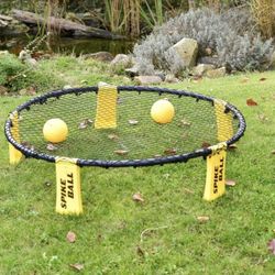 Spikeball Net With Two Balls/bag