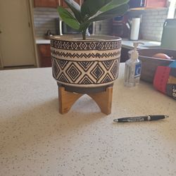 Plant Holder