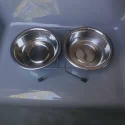 Double Cat Double Dinner And Litter Pan
