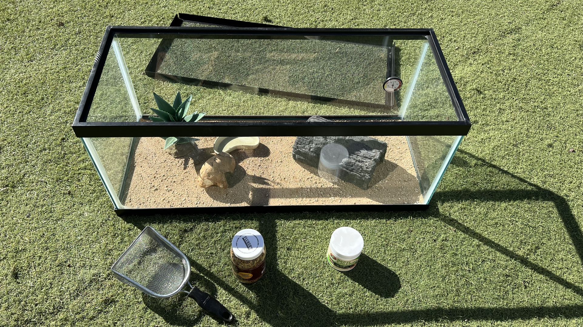 40 Gallon Reptile Beared dragon Tank and All The goodies Shown