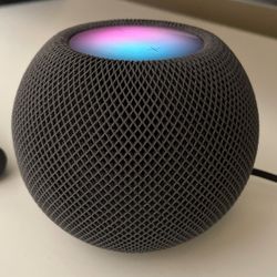 Apple Home POD Mini 