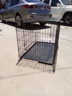 Large Dog Kennel