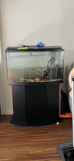 Bow Front Aquarium Tank with Stand
