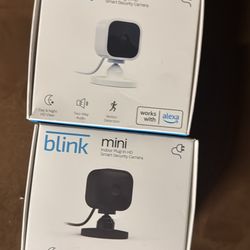 Blink Mini Cameras