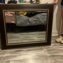 Wall Size Mirror Trying To Get rid of It just Bought A New One.