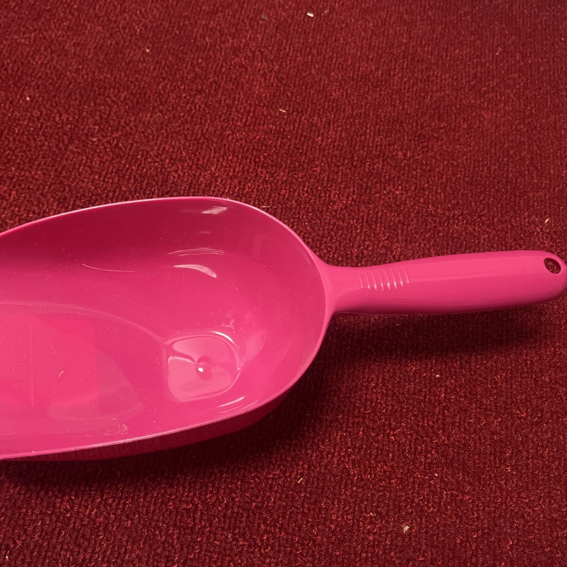 Pet Food Scoop 