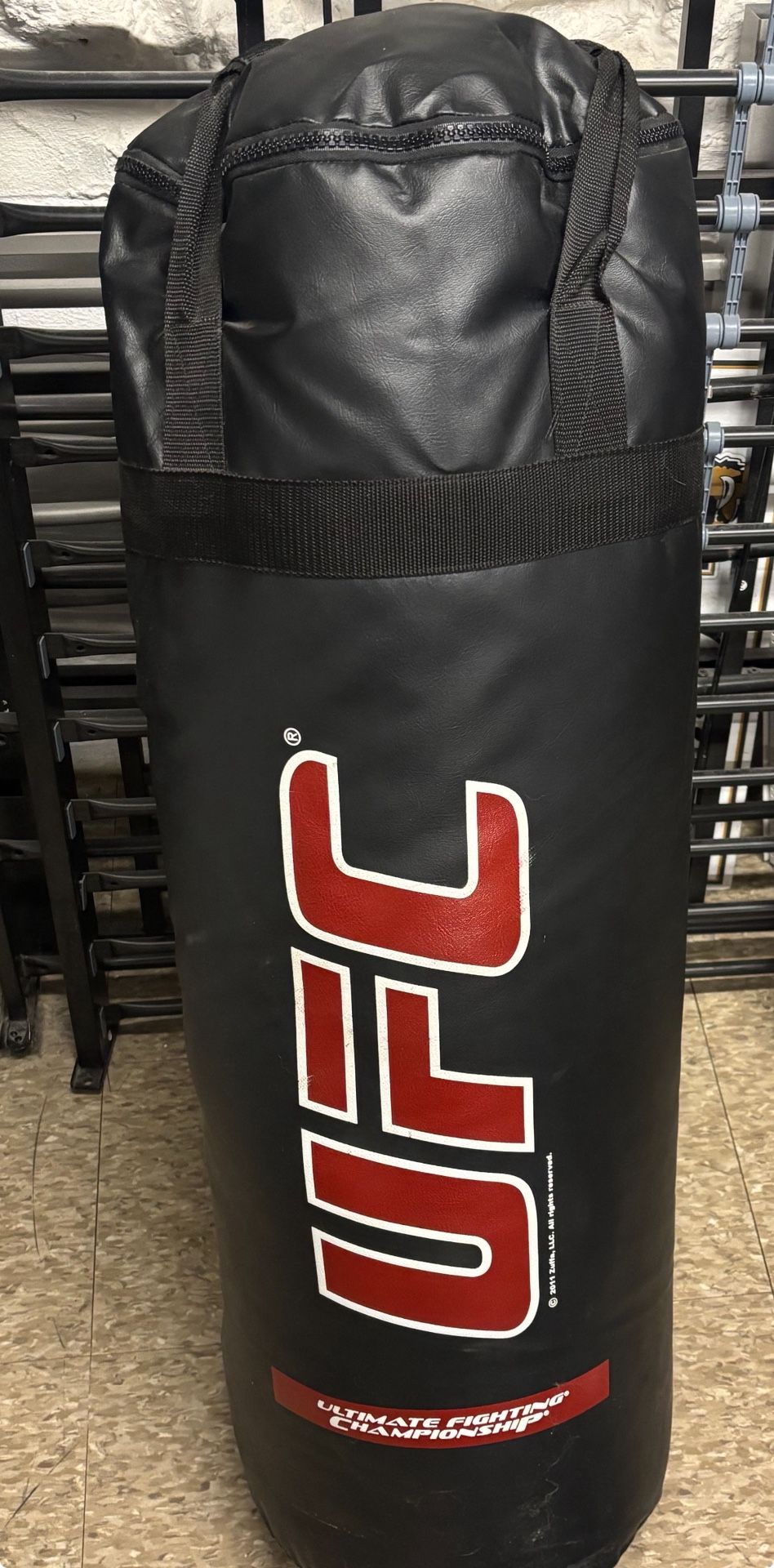 Punching/Kicking Bag