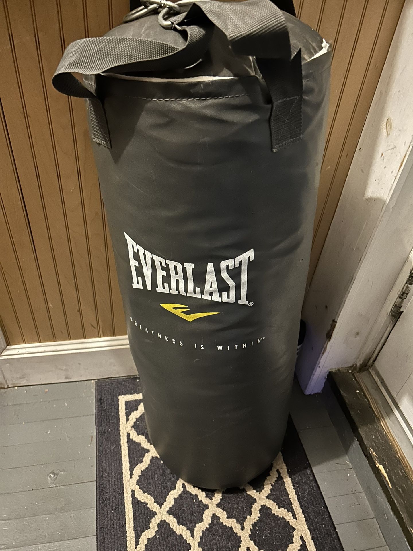 Everlast Punching Bag 50 Lbs.
