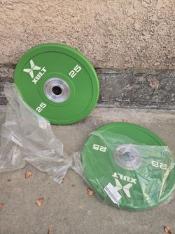 25Lb Bumper Plate Pair